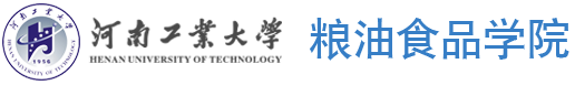 4556银河国际线路测试